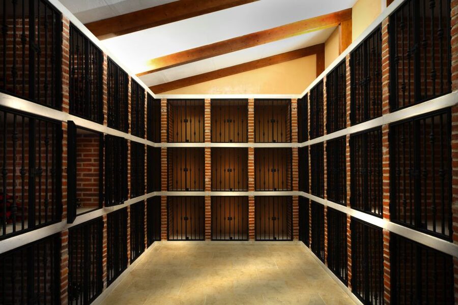 Ribera del Duero Winery Tour & Wine Tasting Near Valladolid - The Tastings: Two Ribera del Duero Wines with Gourmet Pairings