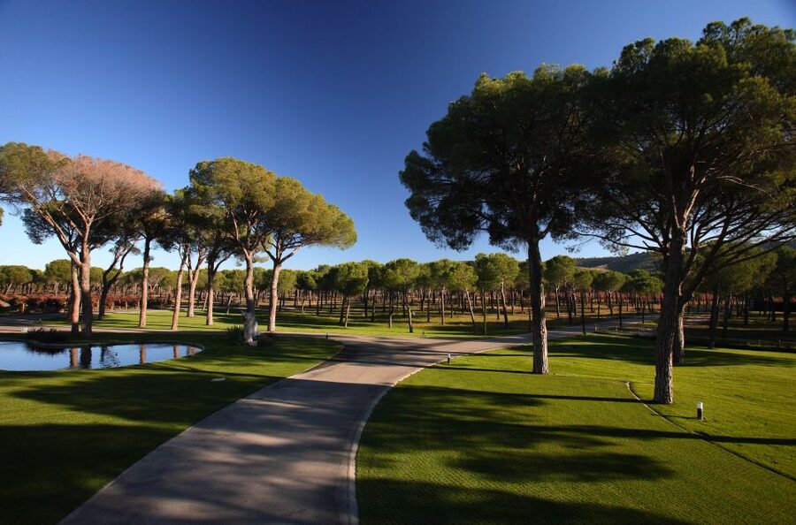 Ribera del Duero Winery Tour & Wine Tasting Near Valladolid - Should You Book This Ribera del Duero Wine Tour Near Valladolid?