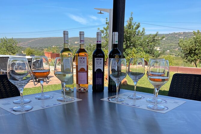 Ride & Wine: Scenic Quinta Da Tor Winery Electric 2x2 bike Tour - Electric 2x2 bikes make Algarve wine country feel doable