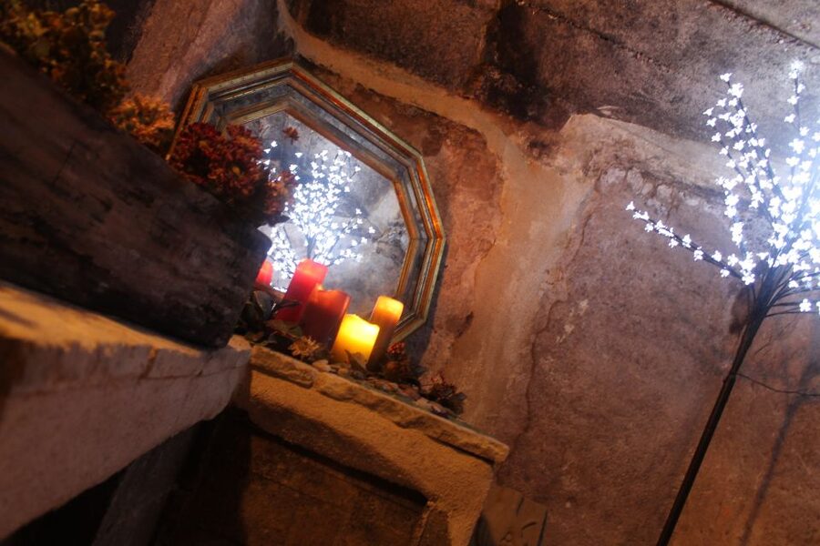 Rioja Alavesa: Wine Tasting in a Traditional Winery - Stainless steel cellar and carbonic maceration: the first flavor clue
