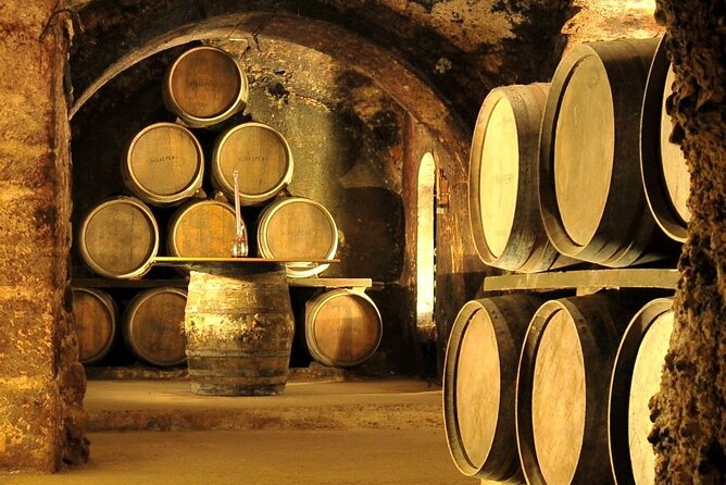 Rioja wine region with visit to winery & Vitoria-Gasteiz - Key highlights worth your attention