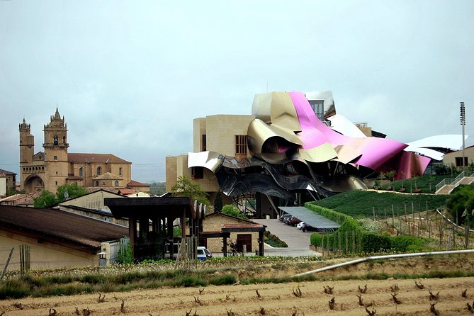 Rioja wine region with visit to winery & Vitoria-Gasteiz - Guides and language: how Spanish and English pacing can affect you