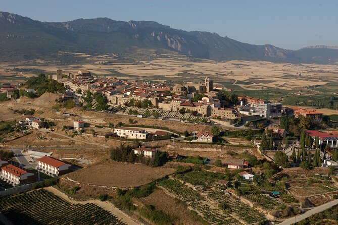 Rioja wine region with visit to winery & Vitoria-Gasteiz - Wine country views from the road: what you might spot
