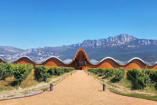 Rioja Wine Route with winery owner - Stop 2 across Rioja Alta or Rioja Alavesa: three tastings in different bodegas