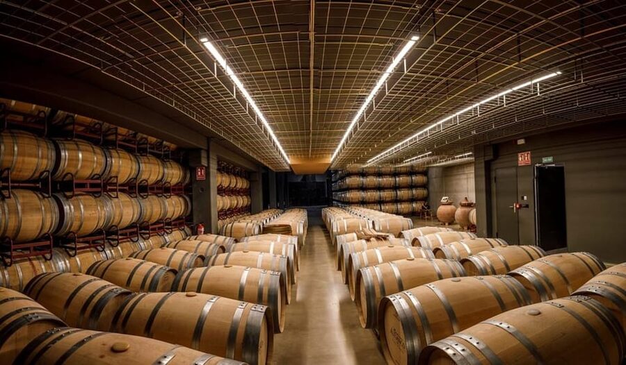 Rioja: Wine tasting and sampling at the Martínez Alesanco family winery - Your 1-hour guided visit inside the winery (in Spanish, step-by-step)