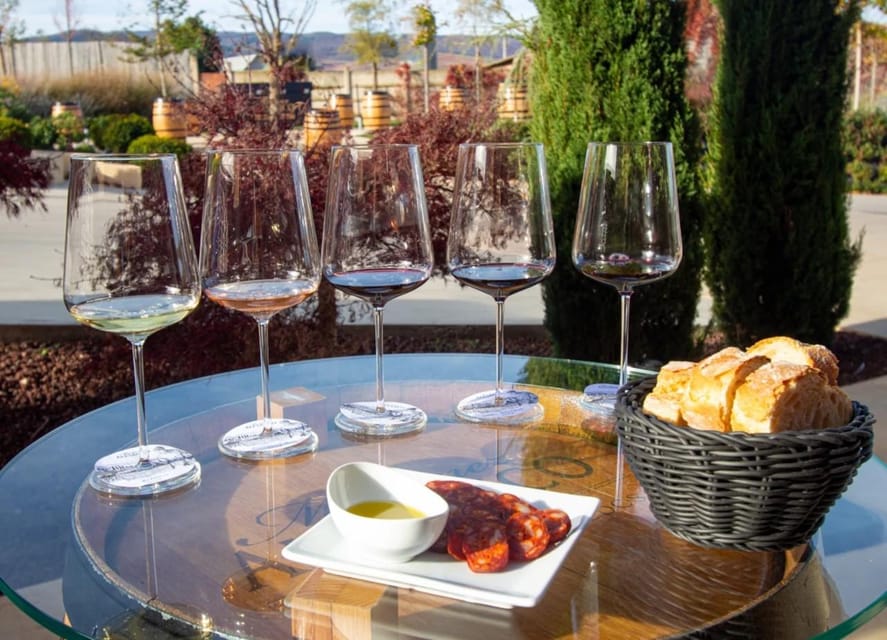 Rioja: Wine tasting and sampling at the Martínez Alesanco family winery - The tasting part: four Rioja wines plus a paired aperitif