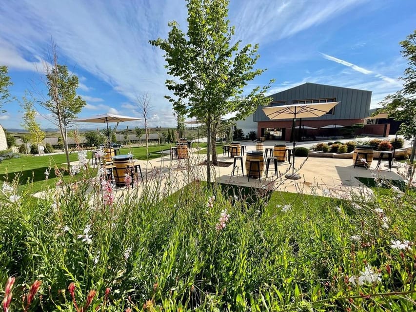 Rioja: Wine tasting and sampling at the Martínez Alesanco family winery - Who this tour suits best (and who might prefer something else)