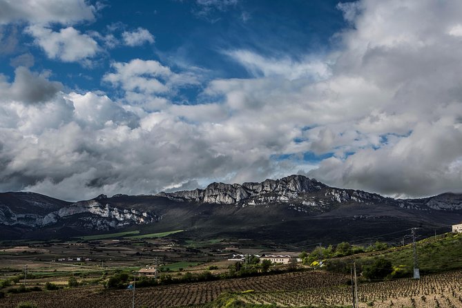 Rioja Wine Tour: Winery, Tasting & Lunch from San Sebastian - A four-course Rioja lunch with dessert: where the day really clicks