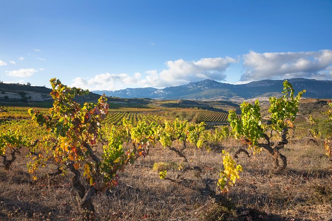 Rioja Wine Tour: Winery & Traditional Lunch From Vitoria - Laguardia orientation: the hilltop town that sets the stage