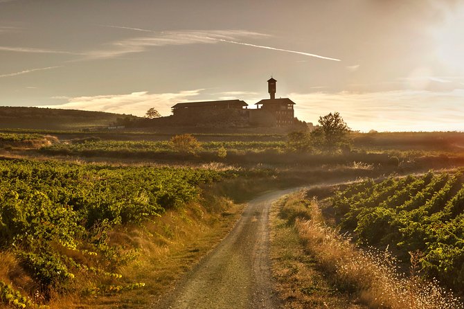 Rioja Wine Tour: Winery & Traditional Lunch From Vitoria - From vineyards to the winery: tasting with production context