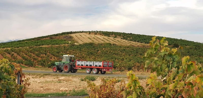 RIOJA: WINE TOUR WITH A WINERY OWNER - Key things I think you’ll notice fast