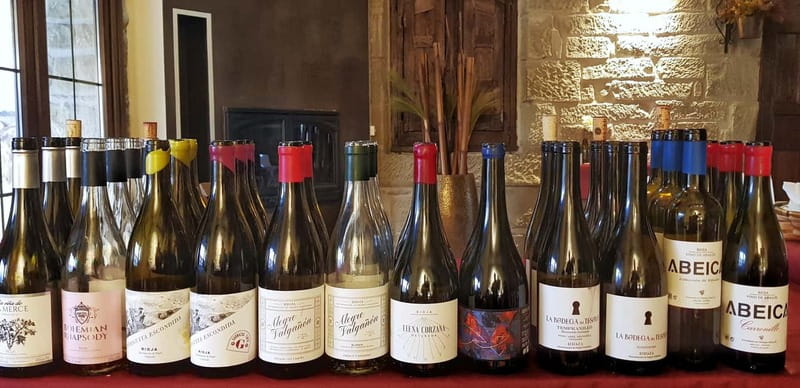 RIOJA: WINE TOUR WITH A WINERY OWNER - Three Wineries, Three Styles: How Rioja Gets Under Your Skin