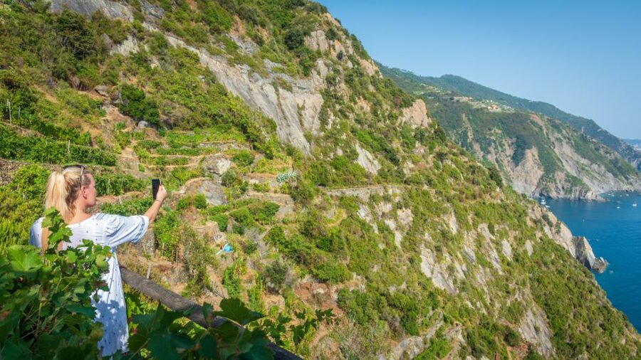 Riomaggiore: Vineyard & Wine Cellar Tour with Wine Tasting - Key things to know before you go