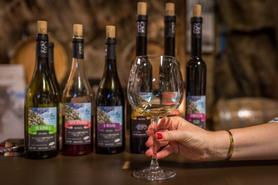 Riomaggiore: Vineyard & Wine Cellar Tour with Wine Tasting - Where Riomaggiore wine tasting gets real: the sea-hugging vineyard setting