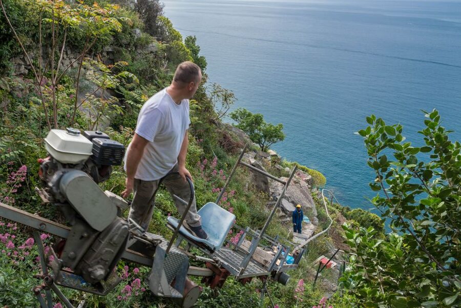 Riomaggiore: Vineyard & Wine Cellar Tour with Wine Tasting - Organic TripleA wines: what you’ll taste and why it’s worth it