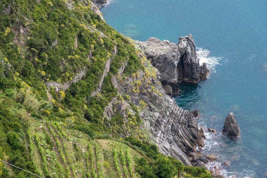 Riomaggiore: Vineyard & Wine Cellar Tour with Wine Tasting - Who this tour suits best (and who should think twice)