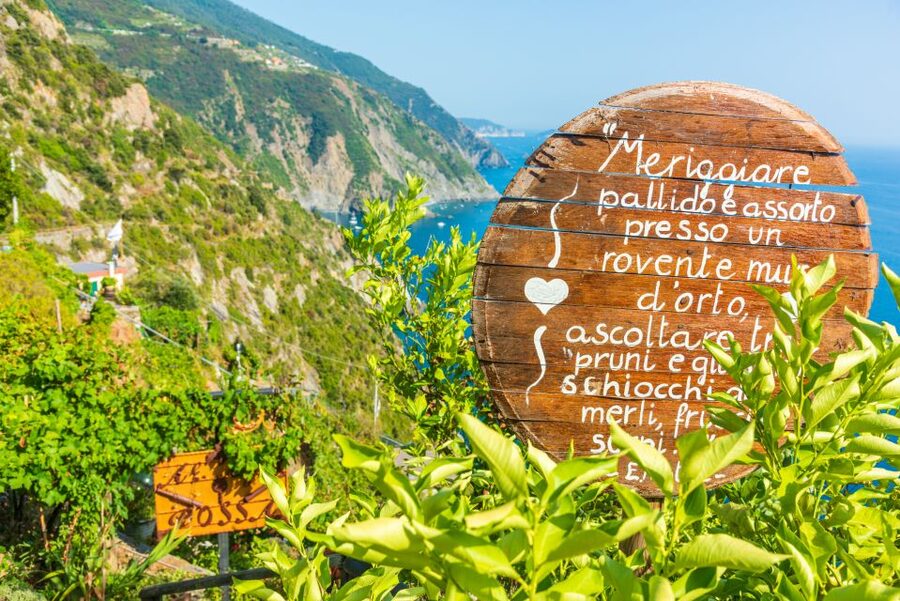 Riomaggiore: Vineyard & Wine Cellar Tour with Wine Tasting - Getting to the meeting point fast (and not late)