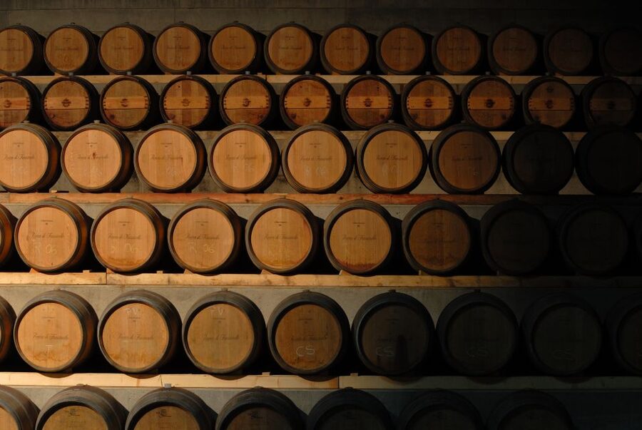 Rocca di Frassinello Winery: Tour & Wine Tasting in Tuscany - Renzo Piano terraces: where the tour starts
