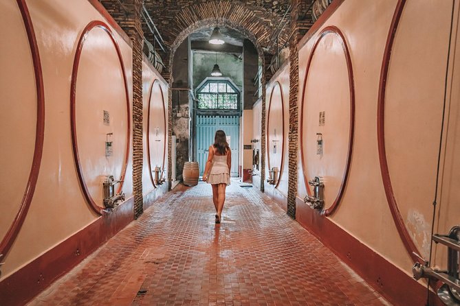 Roman countryside Food & Wine Tasting in a medieval winery - Getting out of Rome: Piazza del Popolo meet-up and the van ride through Lazio