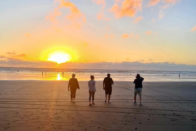 Romantic Auckland Sunset tour with Winery & Thermal pool - Pricing: what $279.26 buys you in real terms