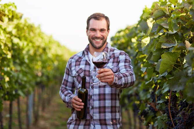 Rome: Frascati Private Day Trip - Town Tour, Lunch & Wine Tasting - Why Frascati Is the Right “Reset Button” From Rome