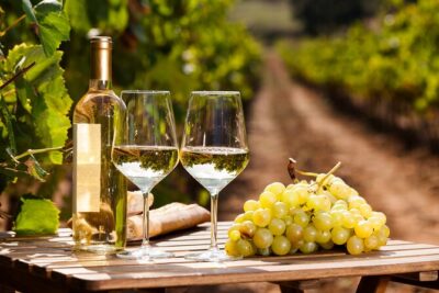 Rome: Frascati Private Day Trip - Town Tour, Lunch & Wine Tasting - Roma Termini Meet-Up and How the Day Gets Moving