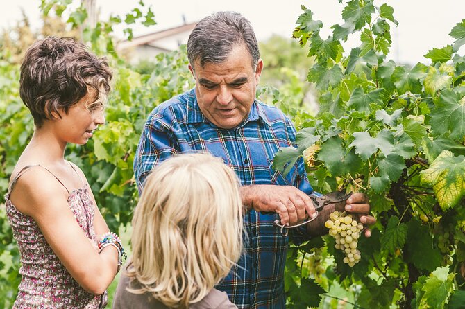 Rome: Frascati Private Day Trip - Town Tour, Lunch & Wine Tasting - Lunch in the Full Option: What You Gain Beyond Wine