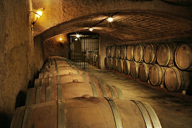 Rome: Frascati Private Day Trip - Town Tour, Lunch & Wine Tasting - Who This Tour Suits Best (And Who Might Feel Limited)