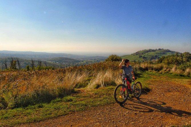 Rome: Frascati Vineyard Bike Tour with Train Tickets - Key highlights at a glance