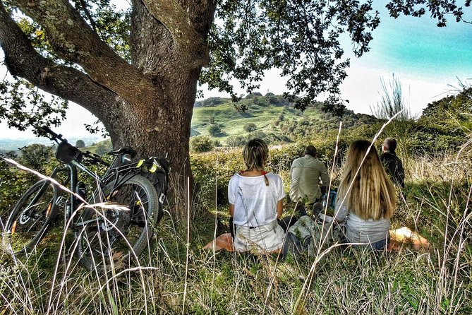 Rome: Frascati Vineyard Bike Tour with Train Tickets - Price and value: what $176.34 is buying you