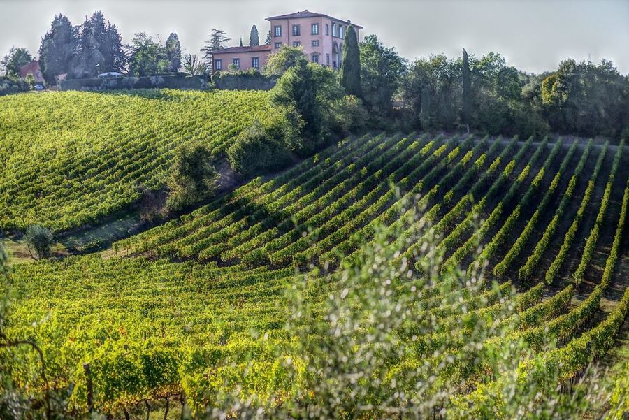 Rome: Private Tour to San Gimignano, Siena & Winery Visit - Who this tour suits best (and who may want to rethink it)