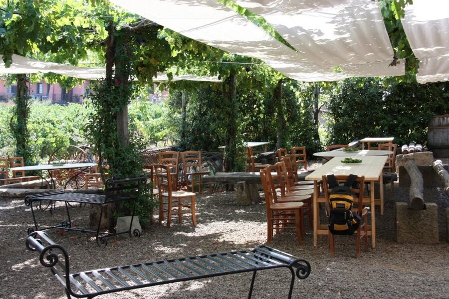 Rome: Private Wine Tour and Pasta Making Class in a Winery - Timing and Transport: How the 5 Hours Actually Work