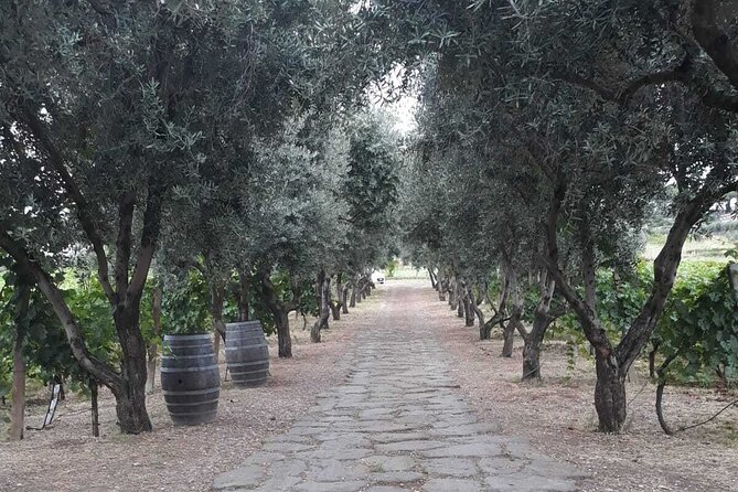Rome: Wine Tour & Pizza Making Class in a Frascati's vineyard - 5 hours - The chef-led pizza making class: hands-on Roman-style lessons