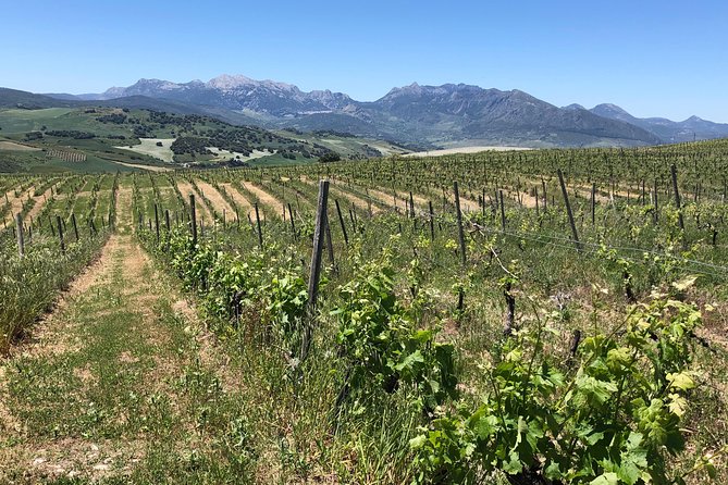 Ronda Day Tour and Winery Visits from Marbella - Food and Wine Flow: What’s Included and Why It Matters