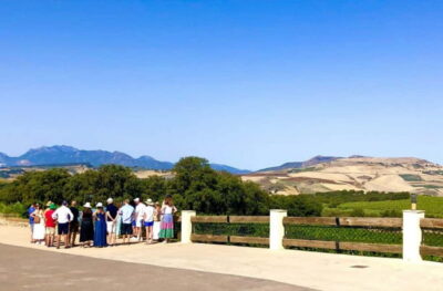 Ronda: Winery Tour with Wine Tasting and Tapas - Greeted by a Winemaker, Then Walking the Vines