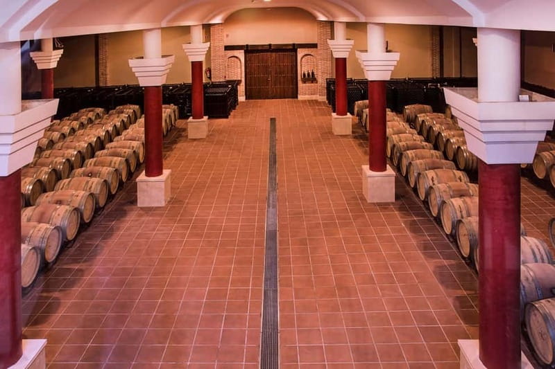 Ronda: Winery Tour with Wine Tasting and Tapas - Should You Book This Ronda Winery Tour?