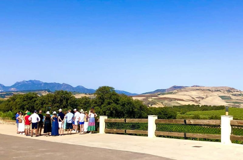 Ronda: Winery Tour with Wine Tasting and Tapas - Greeted by a Winemaker, Then Walking the Vines