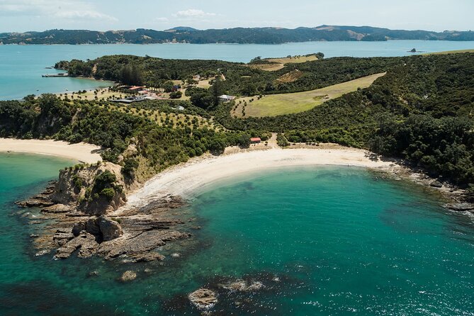 Rotoroa Island and Man O' War Vineyard Combo from Auckland - Man O’ War Vineyard: iconic wine, big ocean views, and a calm-water swim