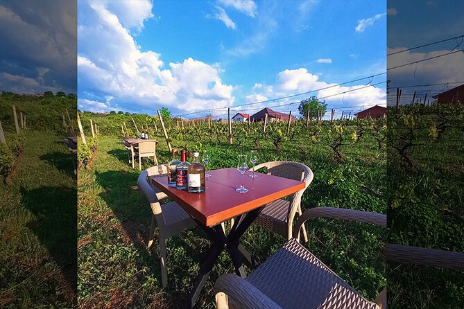 S&S Winery - Wine Tasting Experience in Ohrid - Why S&S Winery feels like a “yes” in Ohrid