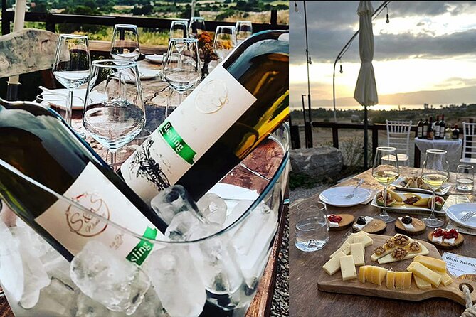 S&S Winery - Wine Tasting Experience in Ohrid - Views, setting, and group size: how to enjoy it without stress