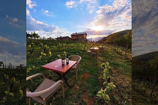 S&S Winery - Wine Tasting Experience in Ohrid - Price and value: is $39.65 worth it?