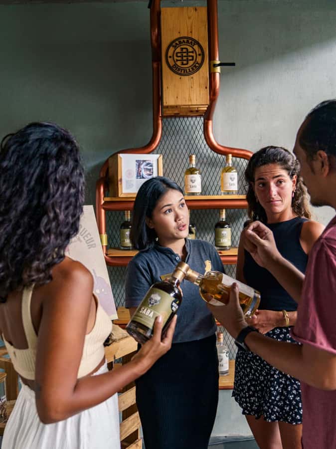 Sababay Winery Bali: Winery Tour with Wine Tasting - The welcome and vineyard walk where the wine story starts