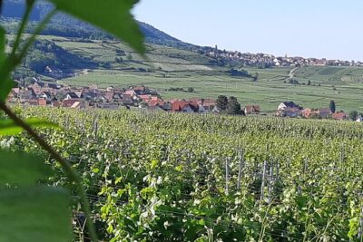 Safari-Tour Villages and vineyard, 1/2 day afternoon - Eguisheim: the village stop that gets you oriented fast