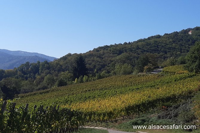 Safari-Tour Villages and vineyard, 1/2 day afternoon - The guide factor: why Ana and Eric’s style matters