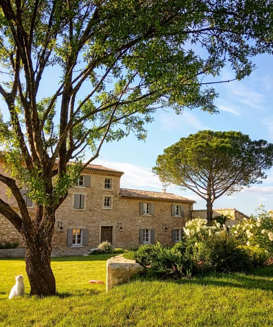 Saint-Didier: visit a vineyard & taste organic wines - Key highlights worth planning for
