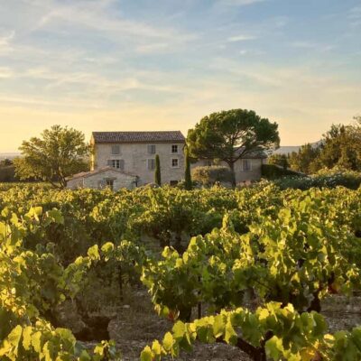 Saint-Didier: visit a vineyard & taste organic wines - Price and timing: is it good value for 90 minutes?