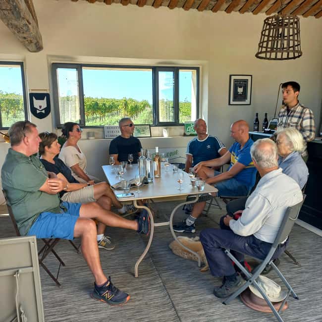 Saint-Didier: visit a vineyard & taste organic wines - In the gardens: tasting three organic wines at Domaine du Chat Blanc