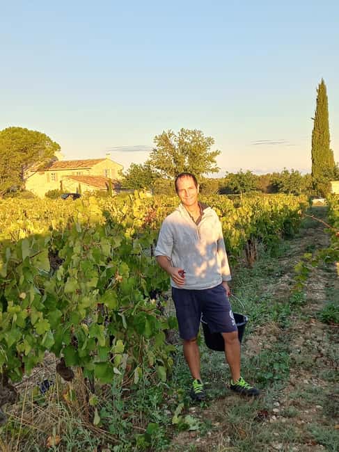 Saint-Didier: visit a vineyard & taste organic wines - How the tasting works: aromas, pairings, and what to ask
