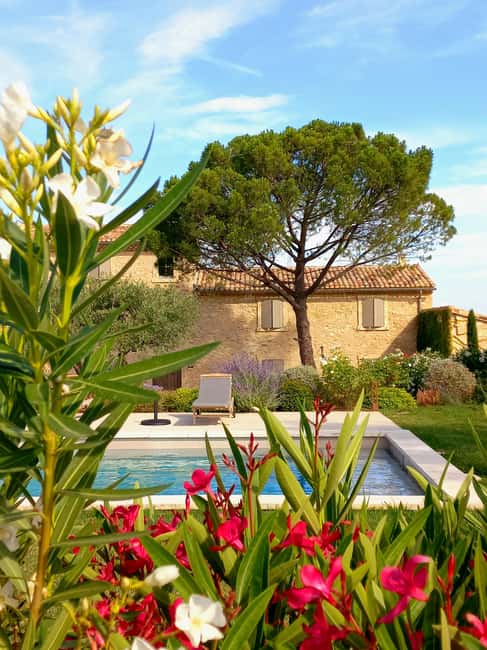 Saint-Didier: visit a vineyard & taste organic wines - The bottom line: should you book?