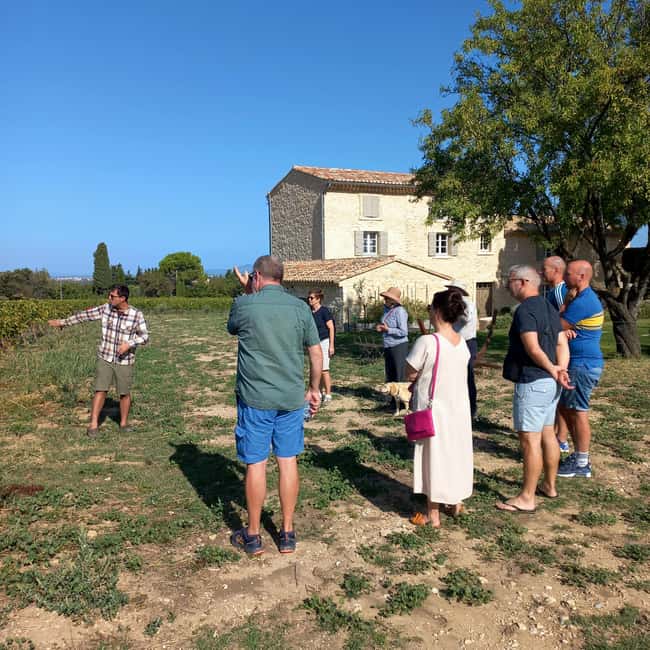 Saint-Didier: visit a vineyard & taste organic wines - FAQ